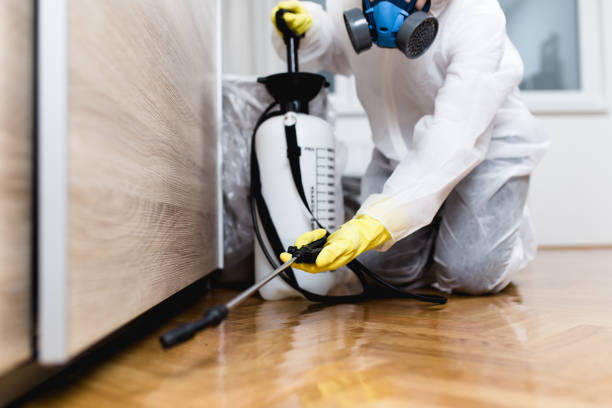 Best Affordable Pest Control Services  in Sterling, IL