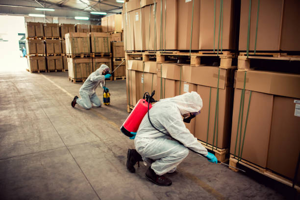 Best Termite Control Services  in Sterling, IL