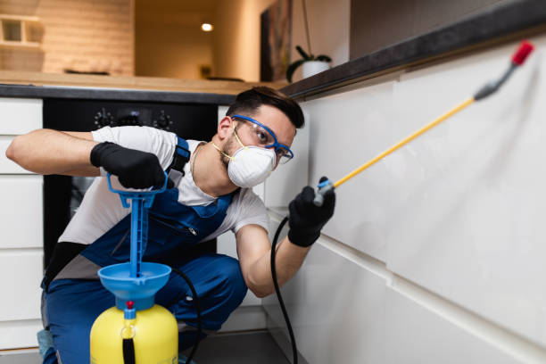 Best Commercial Pest Control Services  in Sterling, IL