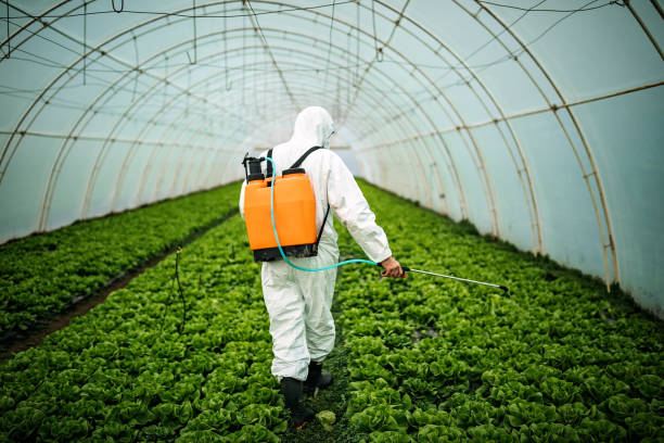 Best Residential Pest Control  in Sterling, IL