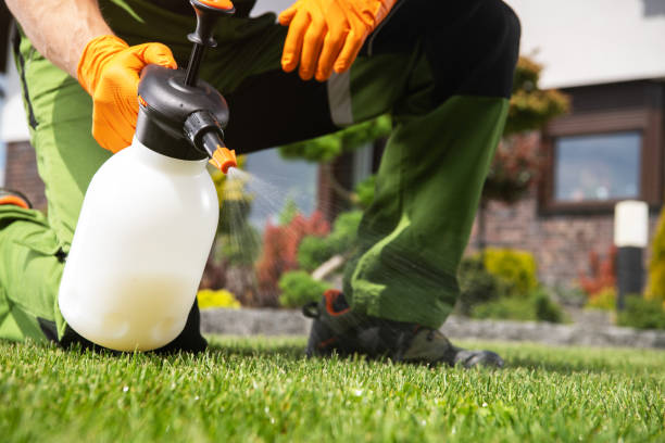 Best Pest Control Near Me  in Sterling, IL