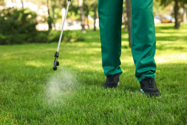 Best Flea Control Services  in Sterling, IL