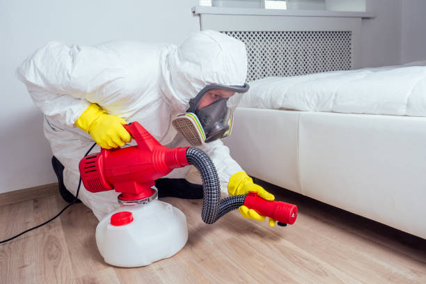 Trusted Sterling, IL Pest Control Experts