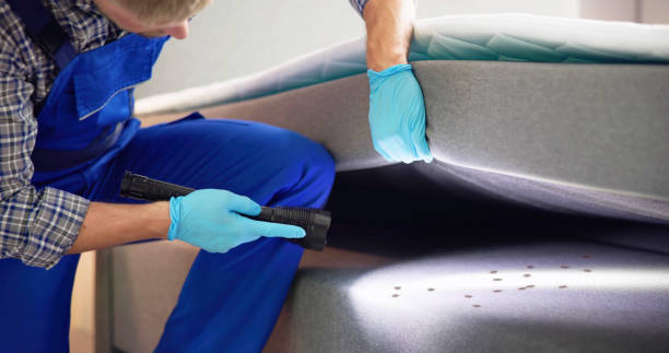 Pest Control for Restaurants in Sterling, IL