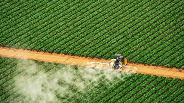 Best Pest Removal Services  in Sterling, IL