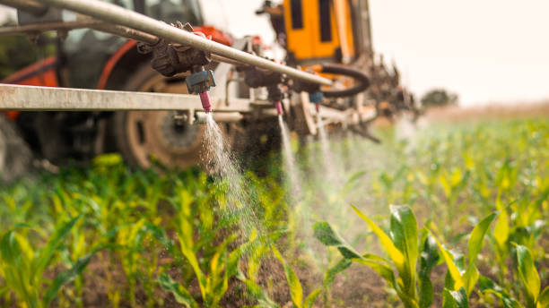 Best Best Pest Control Companies  in Sterling, IL